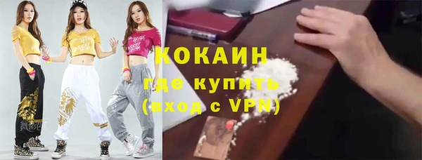 амф Алексин