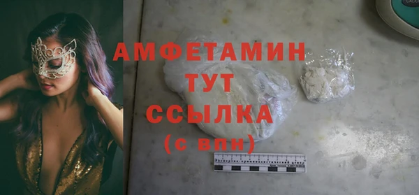 шишки Алзамай