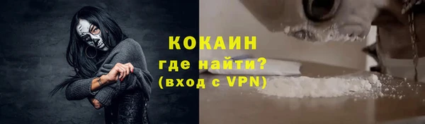 шишки Алзамай