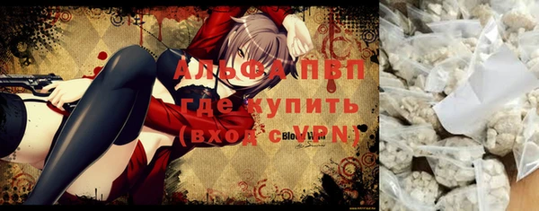 шишки Алзамай