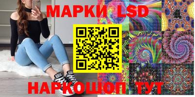 Альфа ПВП Краснознаменск