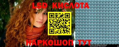 Альфа ПВП Краснознаменск