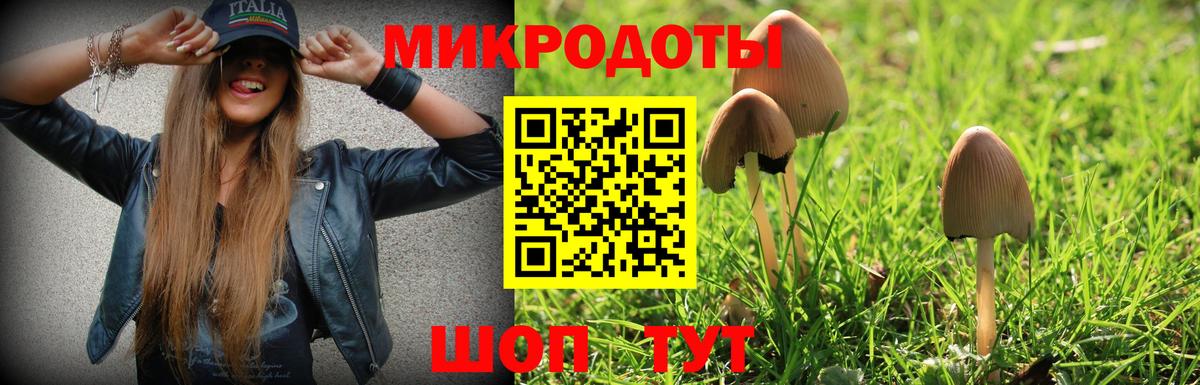 Галлюциногенные грибы прущие грибы  Вход с VPN  Камышин 